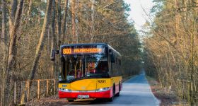 Wielki powrót linii autobusowej numer 800 do Palmir