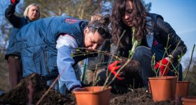 Nowe pole różane na Polu Mokotowskim. To już trzecia taka przestrzeń w parku