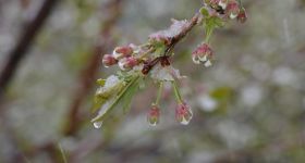 Prognoza pogody dla Warszawy na najbliższe dni