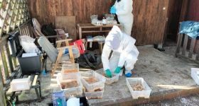 Nielegalna fabryka narkotyków w Nieporęcie zlikwidowana: Policja przejęła 70 kilogramów mefedronu