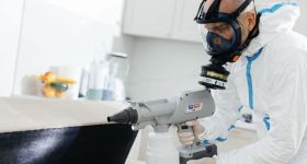 Problem z pluskwami w Warszawie. Co mogą zrobić mieszkańcy?