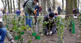 Bluszcz pokrył park Promenada Morskie - Oko