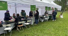 Warszawa zakwitła na nowo: Wielki piknik w Parku Praskim zainaugurował 43. edycję konkursu