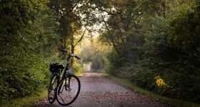 Rowerowy Maj 2026: ruszyły zapisy do dziewiątej edycji kampanii