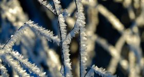 Prognoza pogody na nadchodzące dni