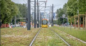 Zmiany w komunikacji miejskiej: WTP z nowym rozkładem na długi weekend listopadowy