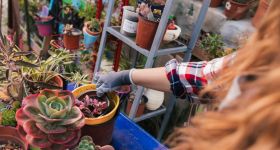 Festiwal Roślin wraca do Warszawy. Tysiące kwiatów i wstęp za darmo