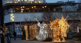 Świąteczna atmosfera przy Urzędzie Dzielnicy Żoliborz. Rozbłysły iluminacje świetlne