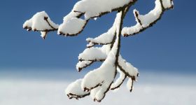 Prognoza pogody dla Warszawy na kolejne dni