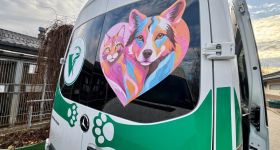 Pierwsza w Polsce specjalistyczna karetka weterynaryjna ruszyła w Warszawie