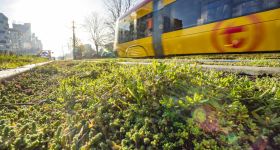 Śmierć 6-latka na Grochowskiej wstrząsnęła Warszawą. W tle planowany remont i zmiany drogowe