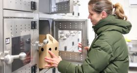 Otworzono Ptasi Punkt Przyjęć przy warszawskim ZOO