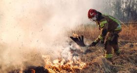 Wypalanie traw zbiera też śmiertelne żniwo. Co kieruje sprawcami?