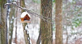 Prognoza pogody na nadchodzące dni